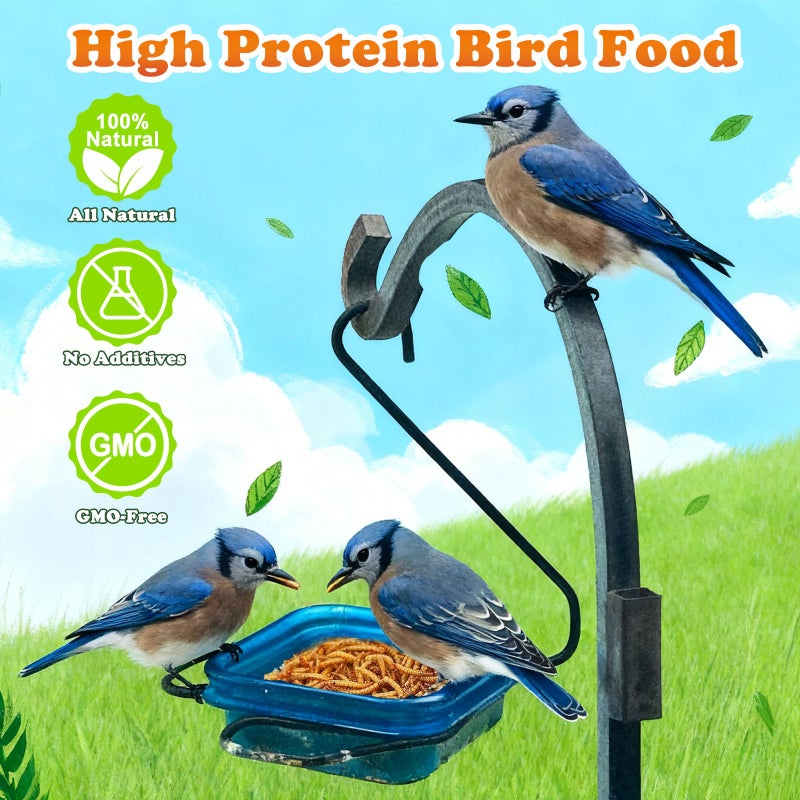 Amzey Dried Mealworms 5 LB, 100% Natural Meal Worms for Chicken & Birds, Organic Chicken Feed for Laying Hens, High Protein and Nutrition, Zipped Bag - Image 4